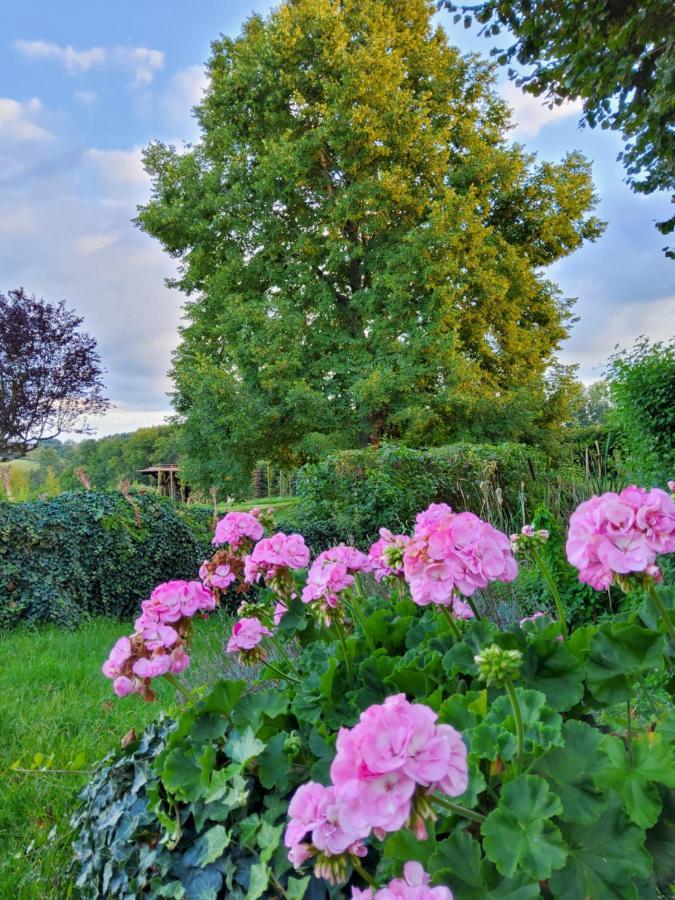 Les Tilleuls De Marie Saint-Edmond Exteriér fotografie